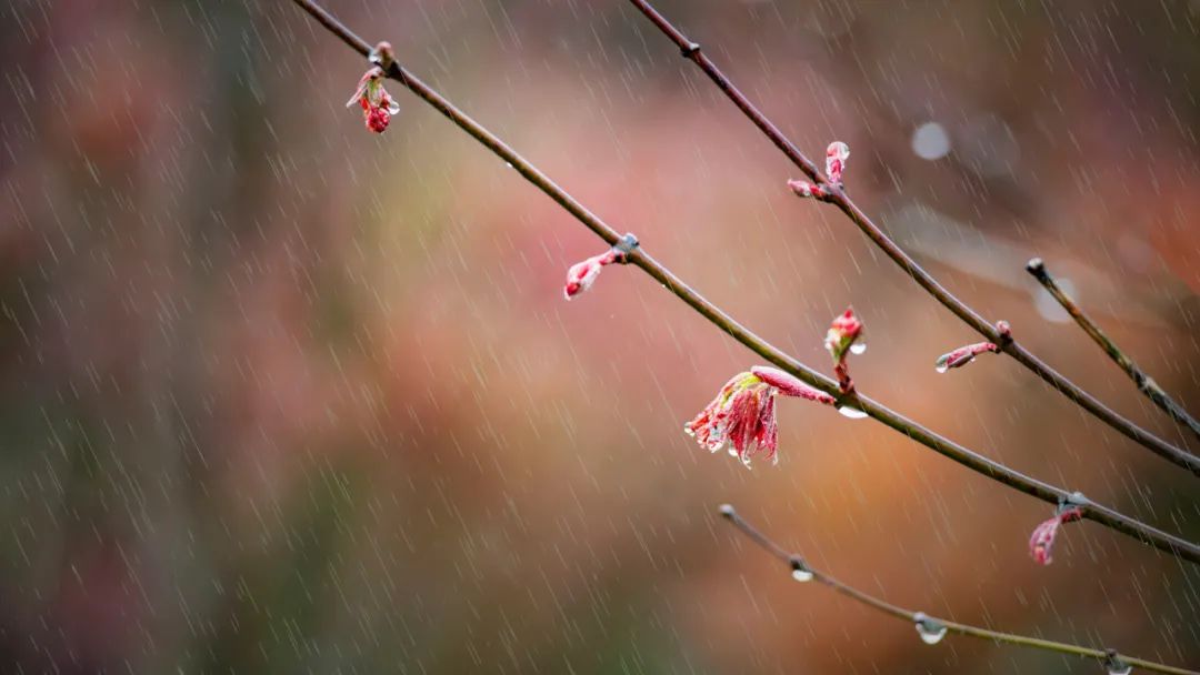 下雨时，最适合发朋友圈的30句诗词