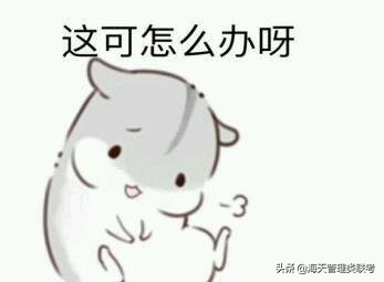 21考研容易上岸的211、985名校，考到就是赚到