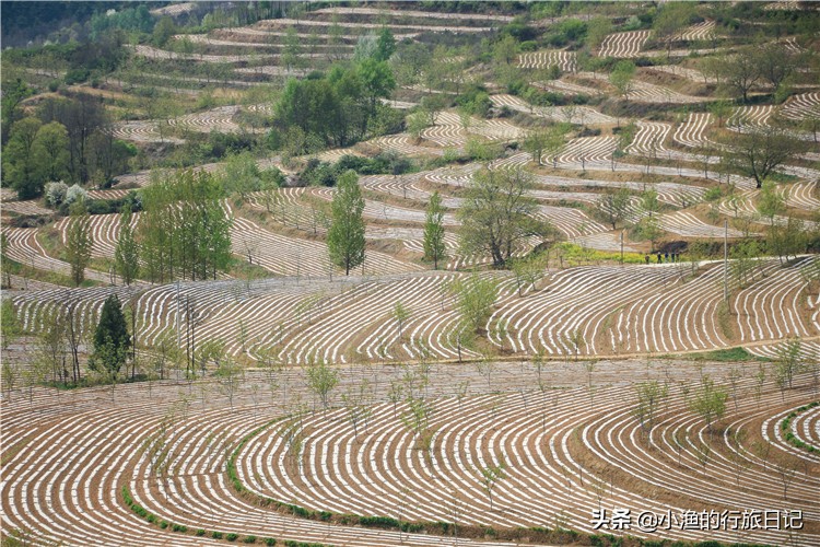 陕西最适合康养避暑的4个县城，环境好超凉快，长寿老人有很多