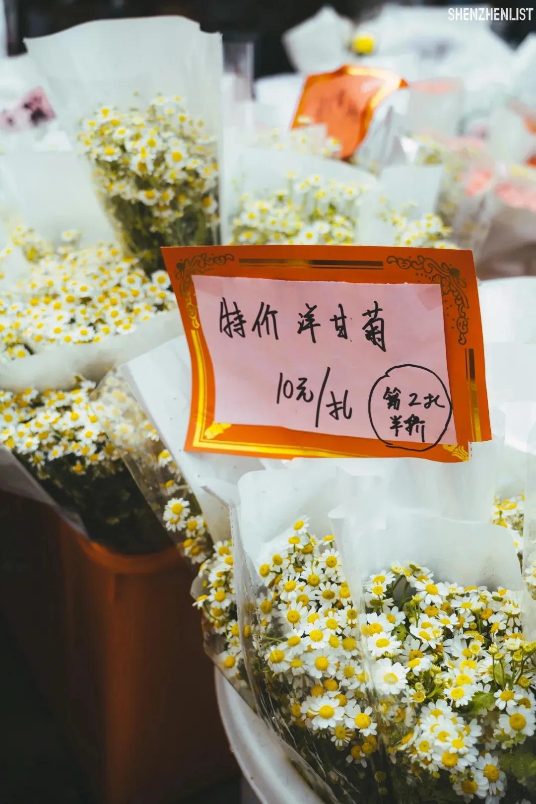 网上花卉盆栽批发网站(深圳8大花卉市场 3193个购花点，全齐了)