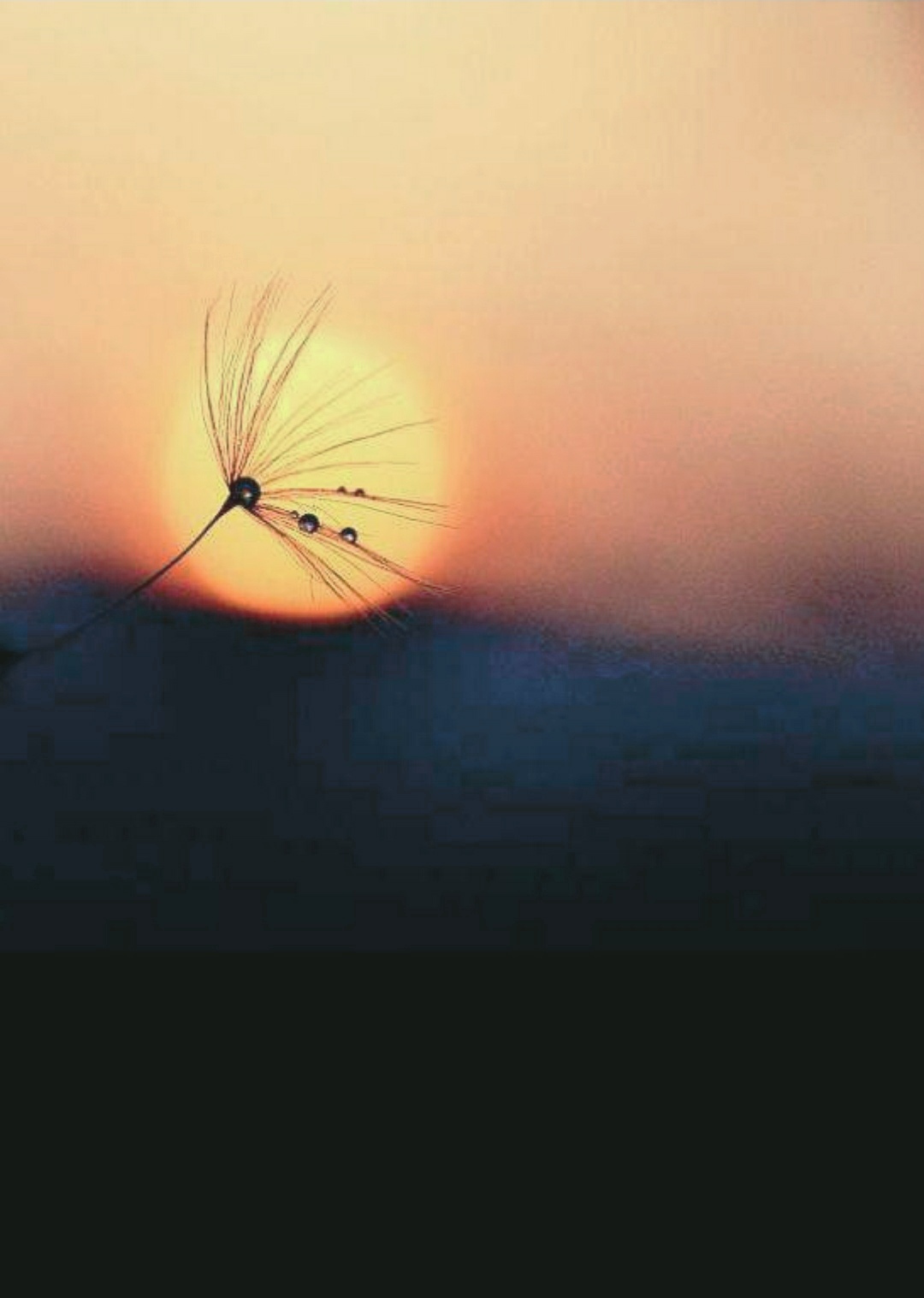 那些关于秋天的成语，美，而且忧伤