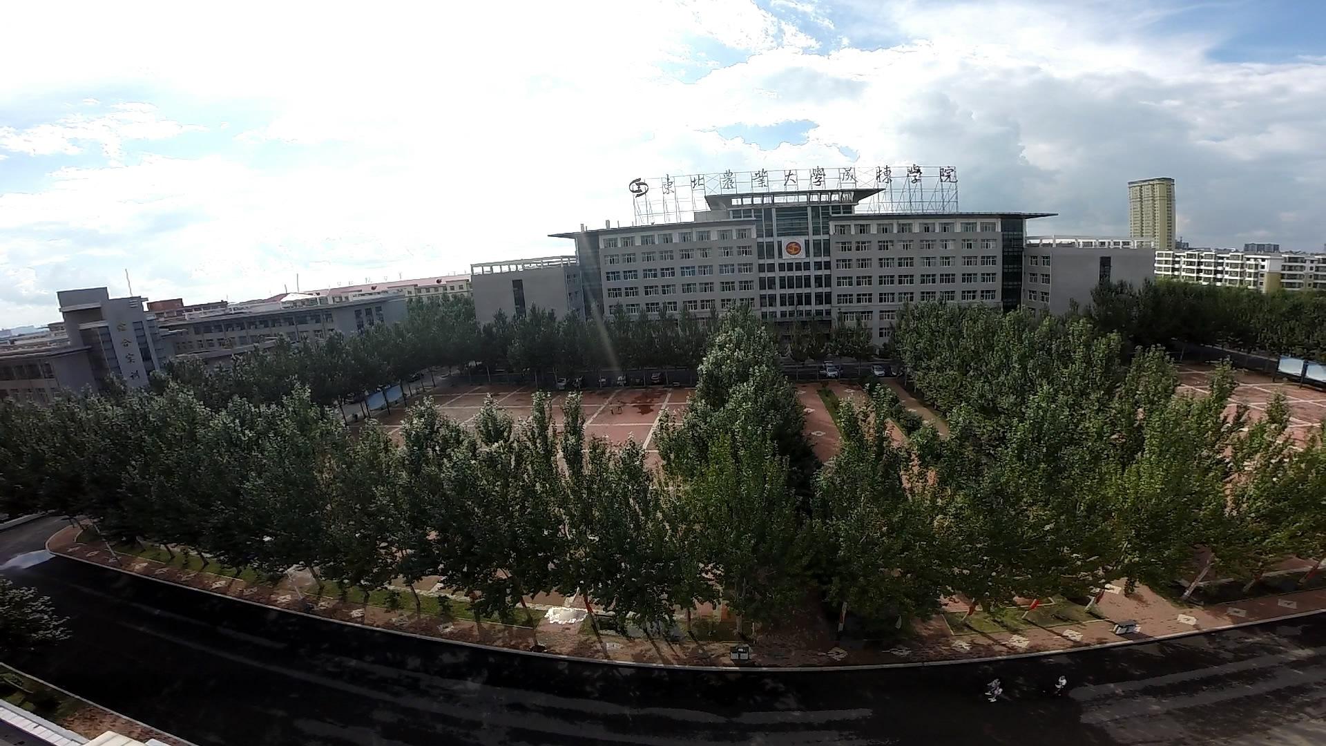 黑龙江民办高校上市！“夫妻学校”年入超1亿，要把学校开到美国