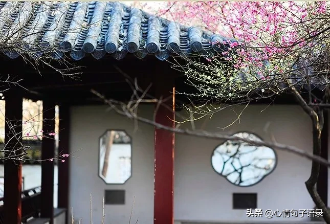 苍天不负勤勉人，晨曦微光中，清洁工用双手托起城市的洁净与尊严。