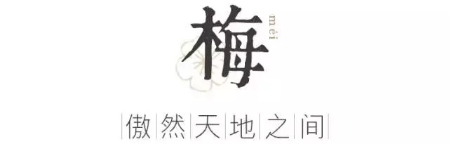 岁寒三友，清欢自知