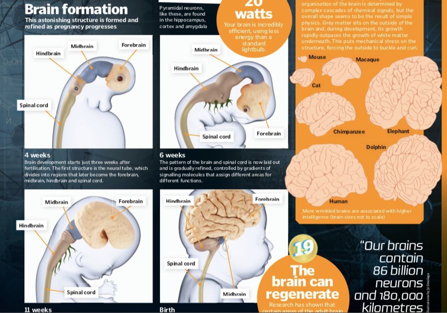 中国的三大黑科技：液态金属有生命、沙漠加水变良田、蚊子在绝育