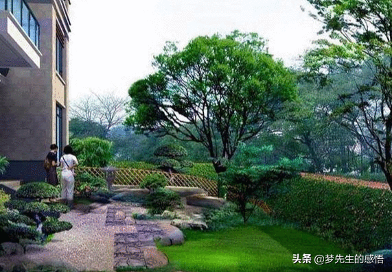 花椒树的风水寓意（庭院种植风水知识详细分享）
