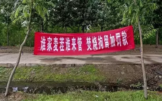 “谁在地里点火，谁家媳妇归我！”——这些禁烧标语，你见过吗？