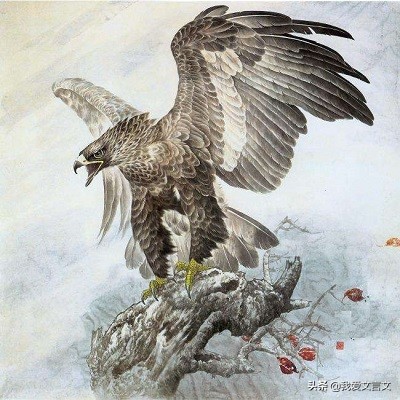 经典文言文赏析｜奇鹰