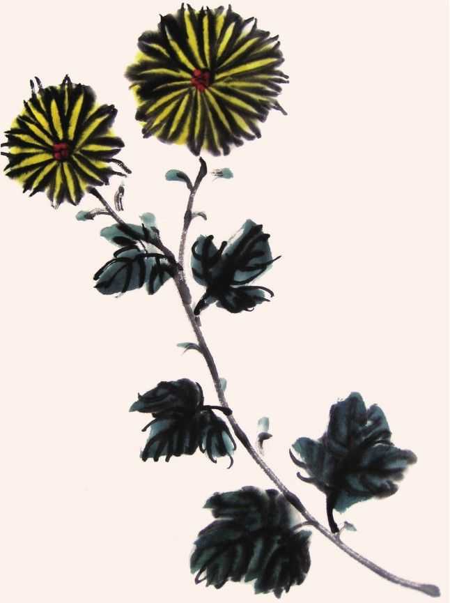 国画知识：不会画菊花？教你5种菊花画法，简单易学，快来临摹吧