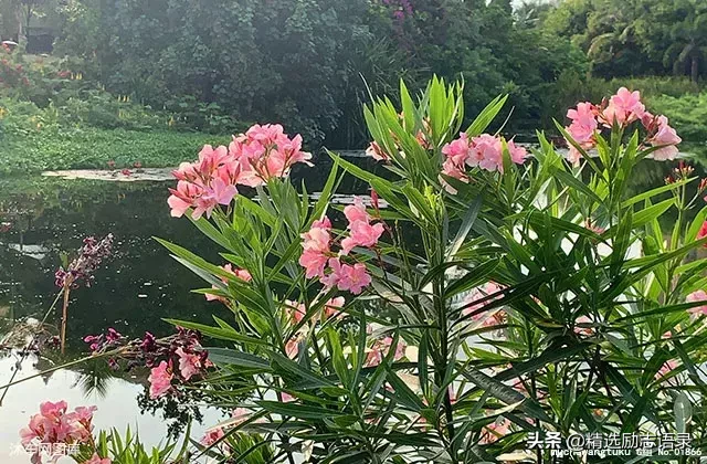 与你相伴，岁月如歌；有你真好。