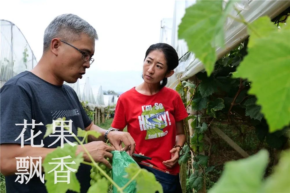 农业的魅力：纵使虐我千百遍，我仍待你如初恋