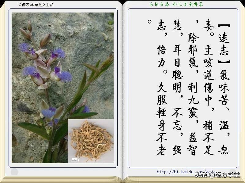 《神农本草经》全册图文解析 建议收藏