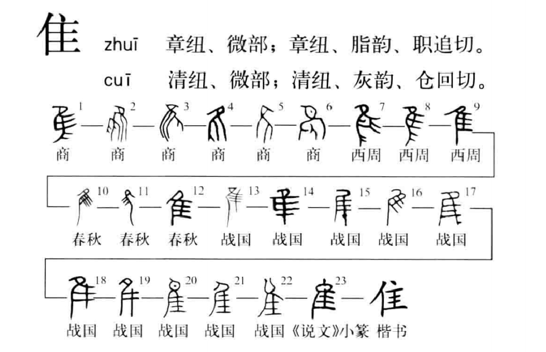 鸟字旁的字有哪些 鸟字加偏旁-徐拾记官网