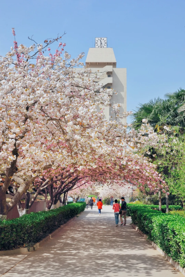 高考最后10天！陕西“网红”高校等你来！4大校区占地8000亩，毗邻兴庆宫、大雁塔、曲江池！