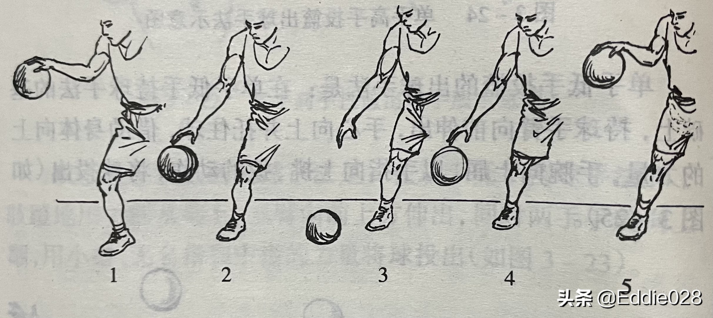 篮球基本步伐有哪些(零基础篮球训练知识分享三（持球、传接球、投篮、运球）)