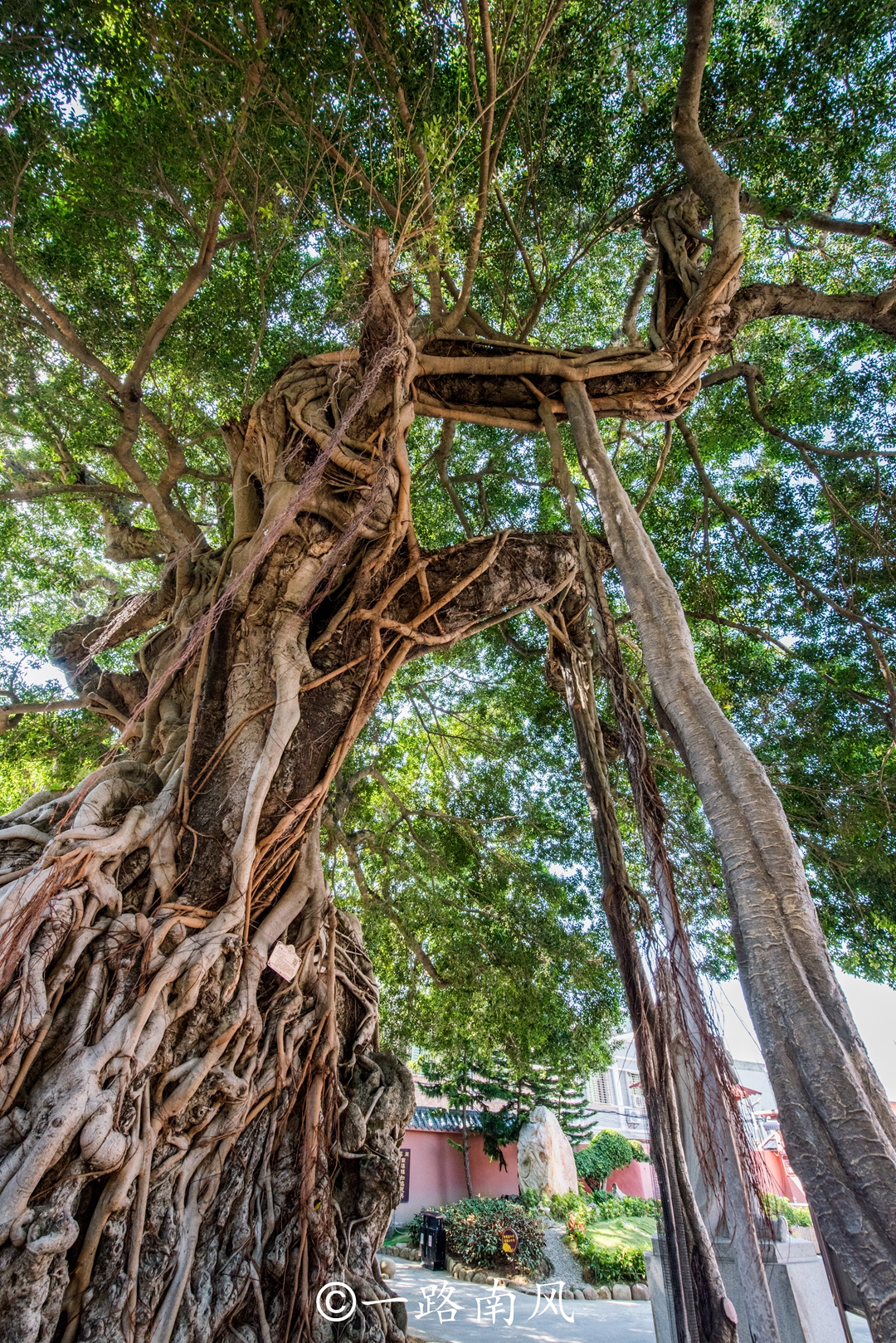 南澳岛在哪里 南澳岛旅游攻略-世界十大百科