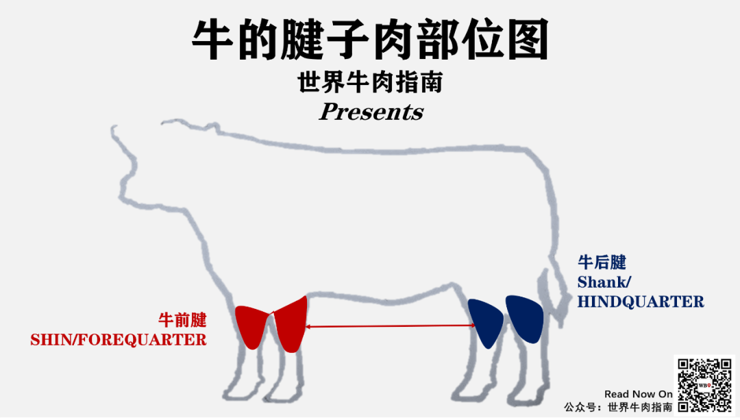 三花趾(三花趾五花趾区别)