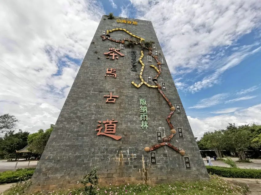 一叶跨千年！云南普洱茶成长史大揭秘