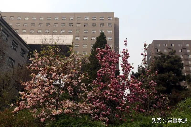 中央民族大学2020年强基计划招生简章