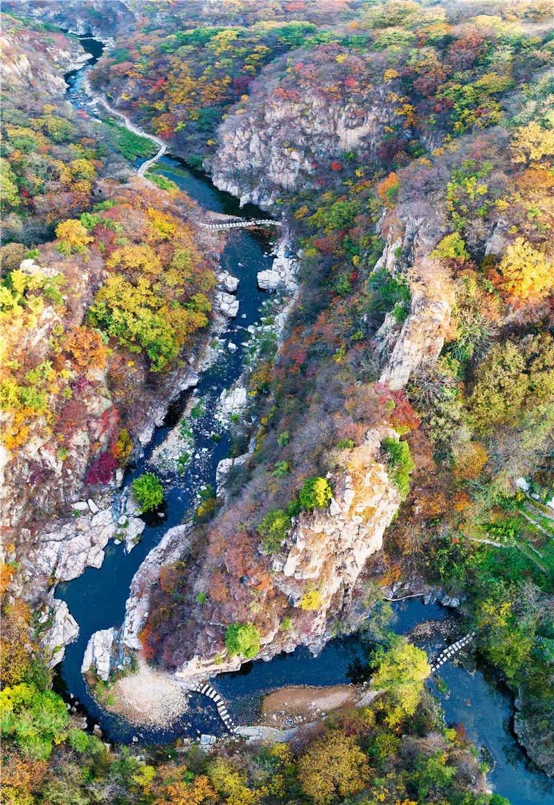 福建内5条小众又独特的自驾路线，风景各异，每一条都值得一驾