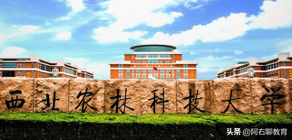 咸阳的大学（咸阳公办本科高校大盘点）