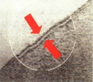 罗伯特森在电子显微镜下看到的细胞膜结构(罗伯特森) - 三甲体育
