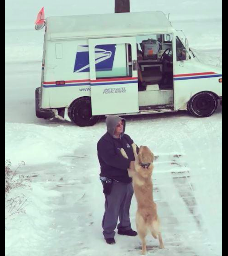 快递员痛失爱犬很伤心，却在工作中偶遇一只金毛，用拥抱温暖了他