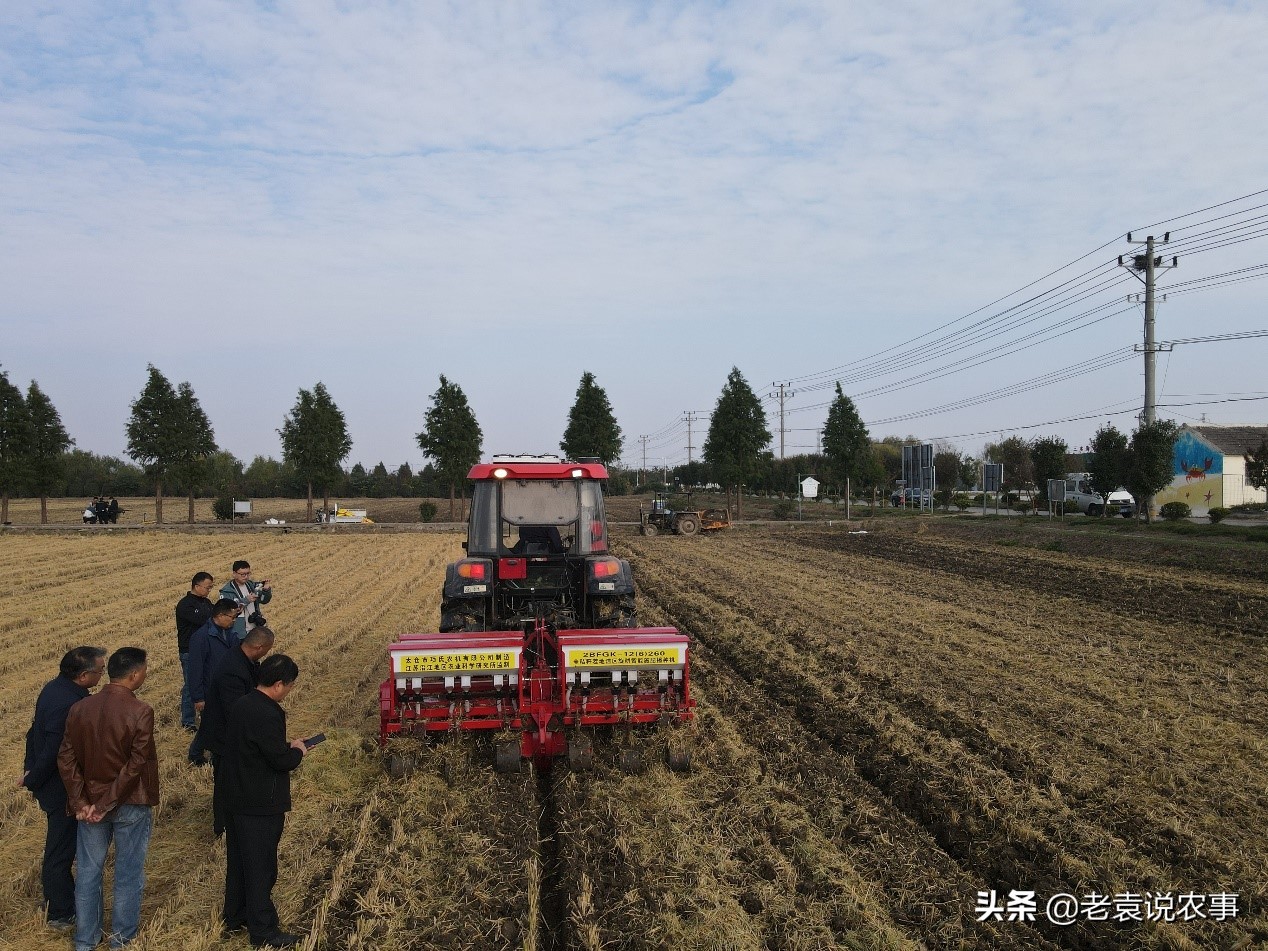 江苏省泰州市姜堰区：水稻收得快、小麦种得好