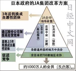 日本苍井空(苍井空千里迢迢也要来中国吃西瓜：日本人为啥吃不起水果？)