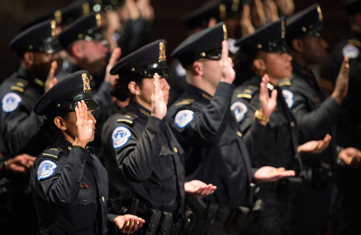 美国国会警察的警衔、徽章和编制，助理总警监直管分局，更有实权