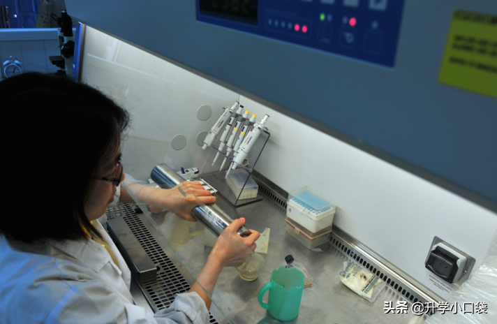 福州大学2021招生章程出炉，外语类专业，这类考生不要报考