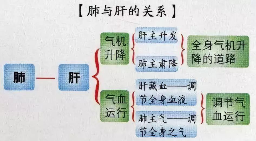 经常喉咙干痒、咳嗽，皆因这2个地方出现问题！该如何有效调理？