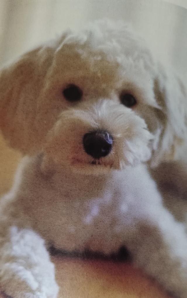 《这样就很幸福了》：学会建立五感愉悦幸福准则，开启疗愈新生活