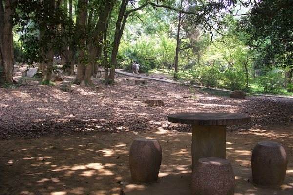 湖北大学推荐之最美的大学—武汉大学，愿做梦想的起点