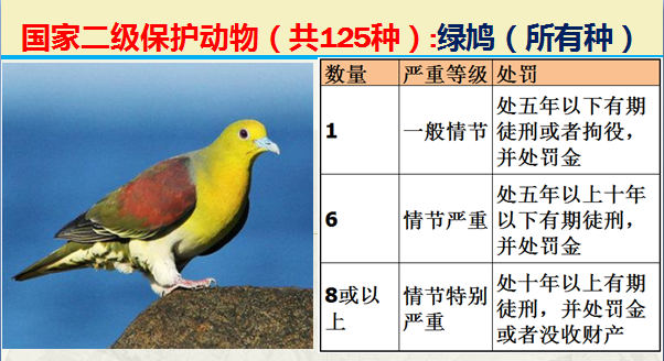 国家保护动物分几个等级（125类二级野生保护名录）