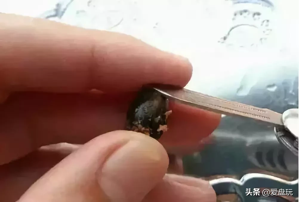 它曾是乾隆儿子的随身物,估价到8万,现在夏天就能随意买到