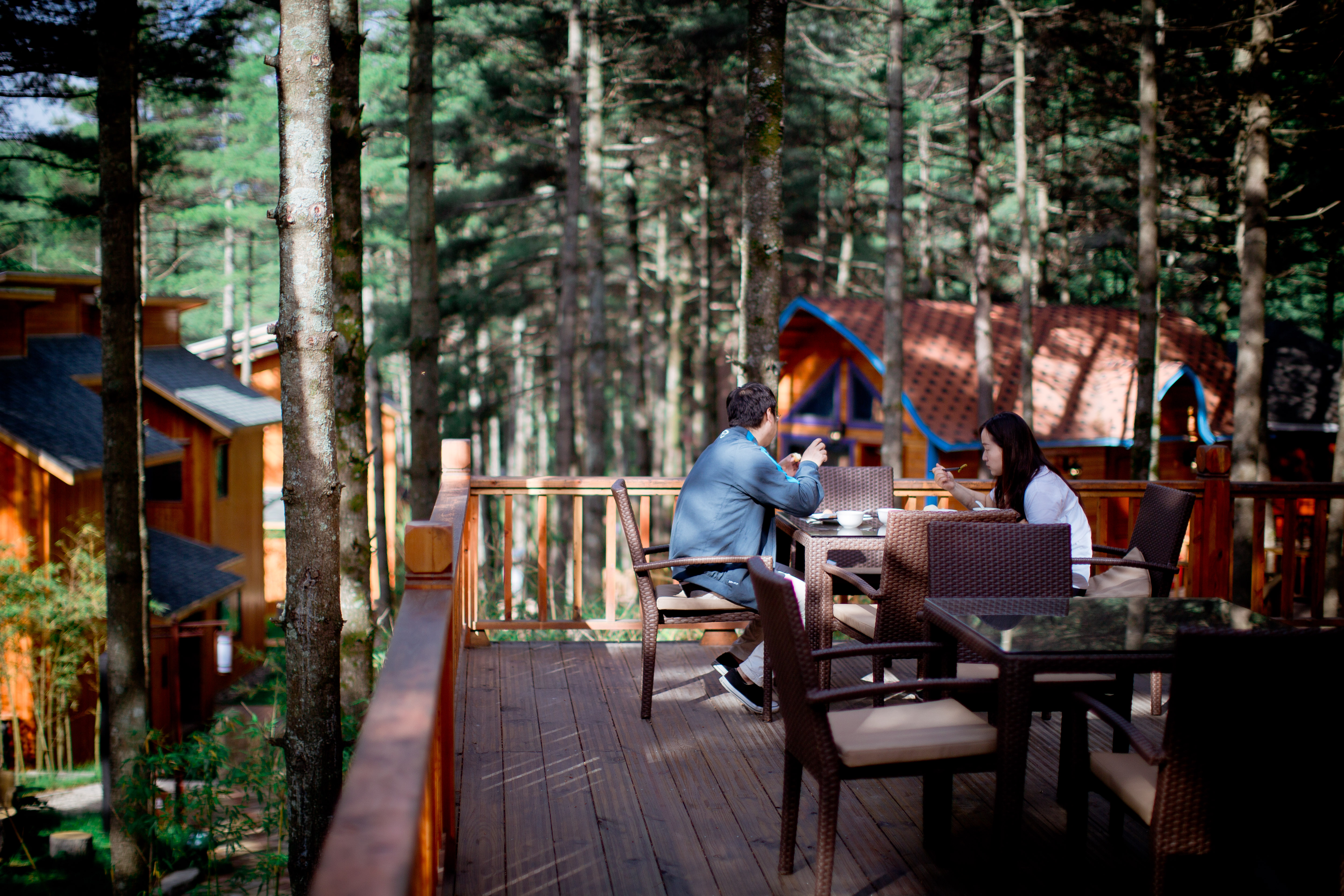 河南这10家特色民宿美爆了,尤其最后一个藏在海拔2000米的森林里