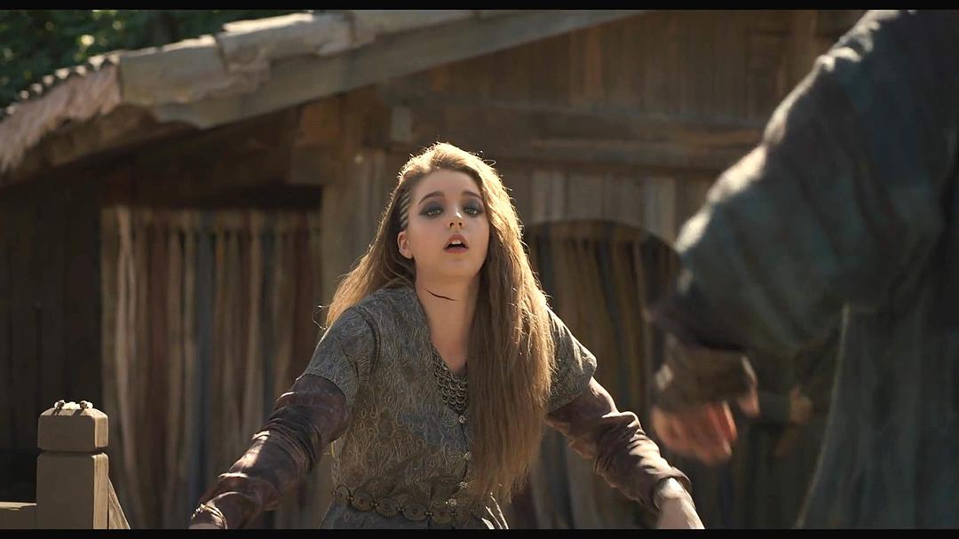 光海君废位时期,朝鲜最佳剑客"泰率"(张赫 饰)为了寻找消失的女儿再次