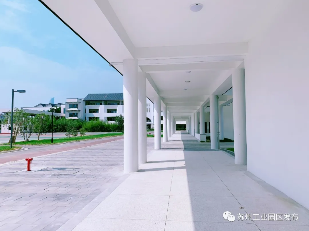 喜迎开学季，园区这些新校启用