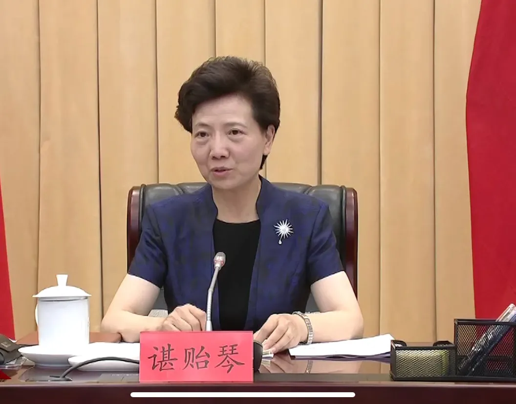 省委常委罕见出任这一职务，省委书记谌贻琴现场提要求