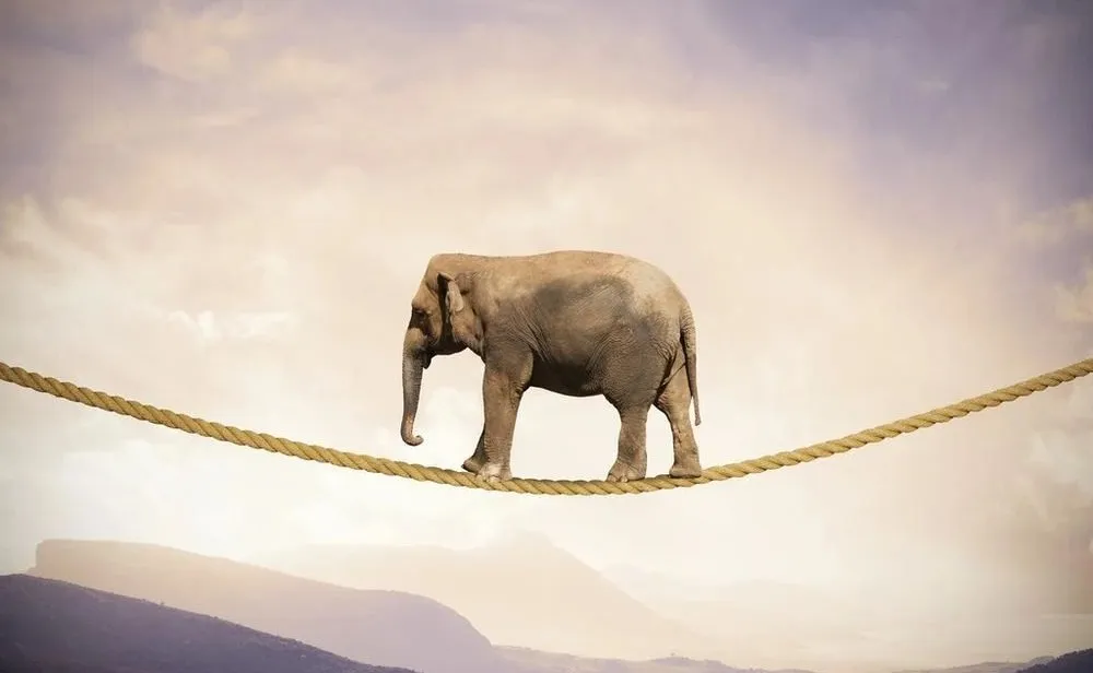 刷脸支付加盟骗局：服务商用空壳公司收代理费，月入千万