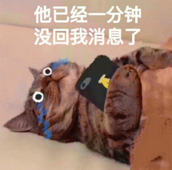 表情包：日常吸貓（awsl）