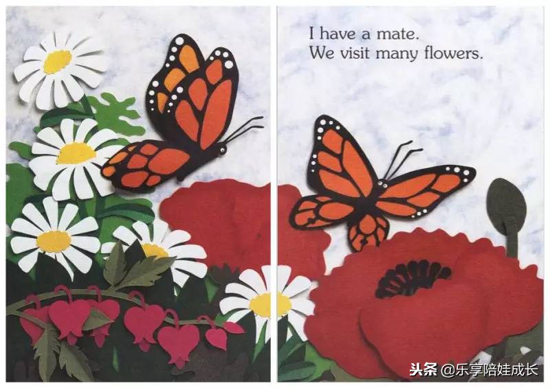 绘本磨耳朵：I'm a Caterpillar 中文《我是一条毛毛虫》！