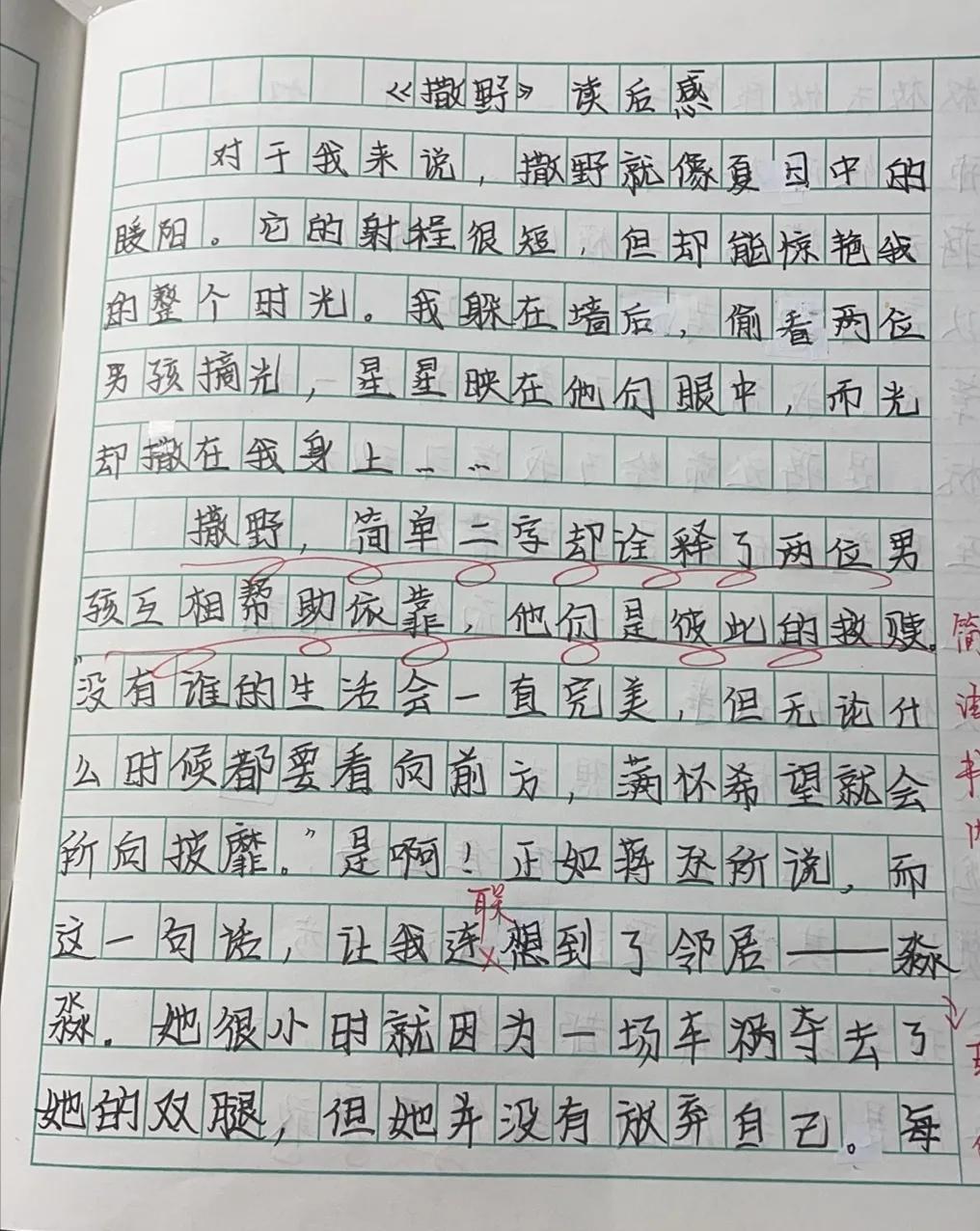 这个素材，写作文慎用
