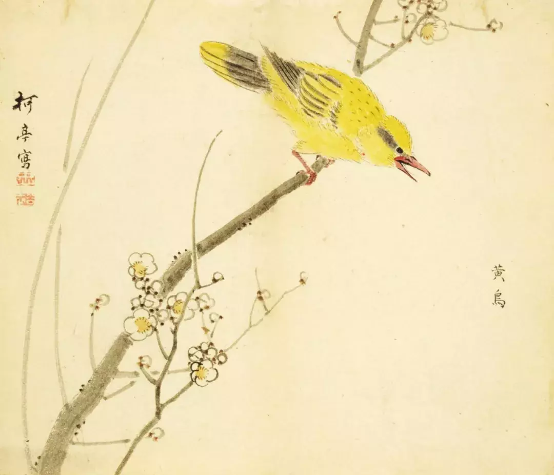 阅读的艺术 | 一生熟读几本书…