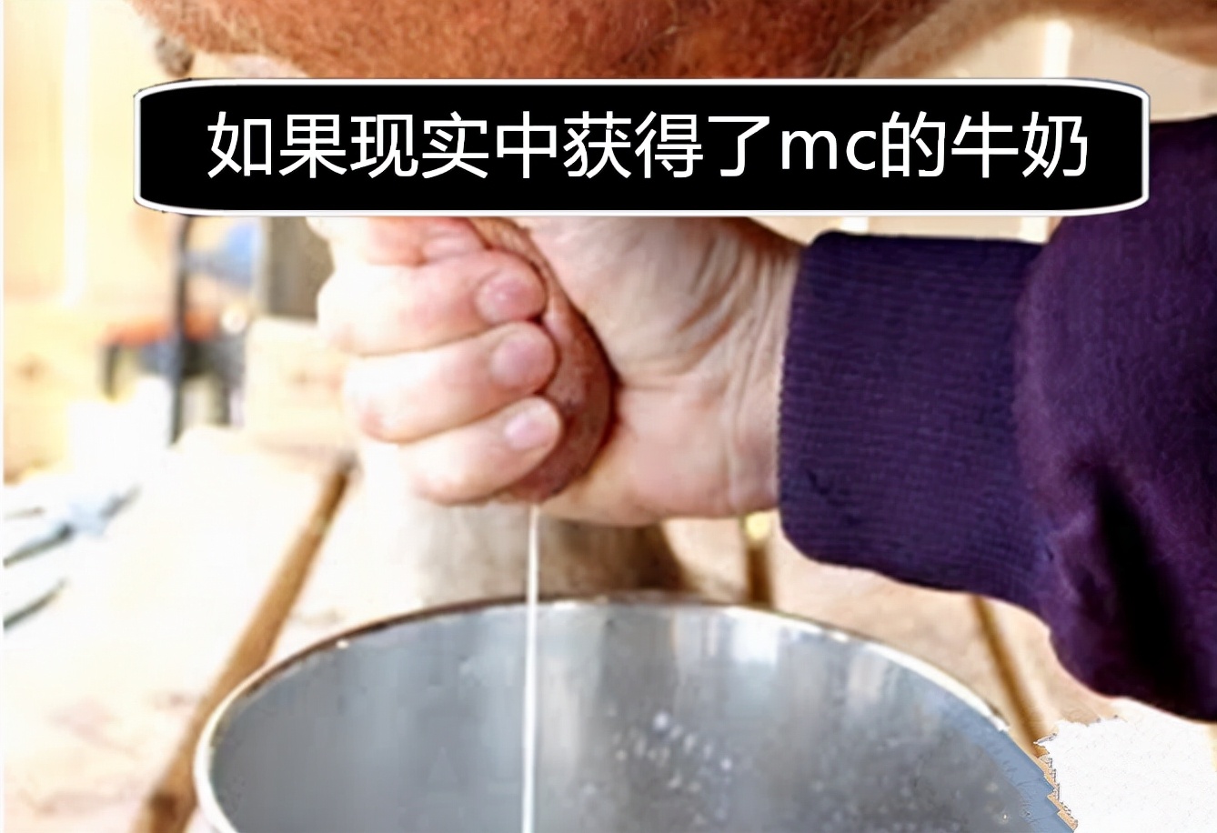 如果现实中你获得了Minecraft的“奶”，你会如何利用这个能力？