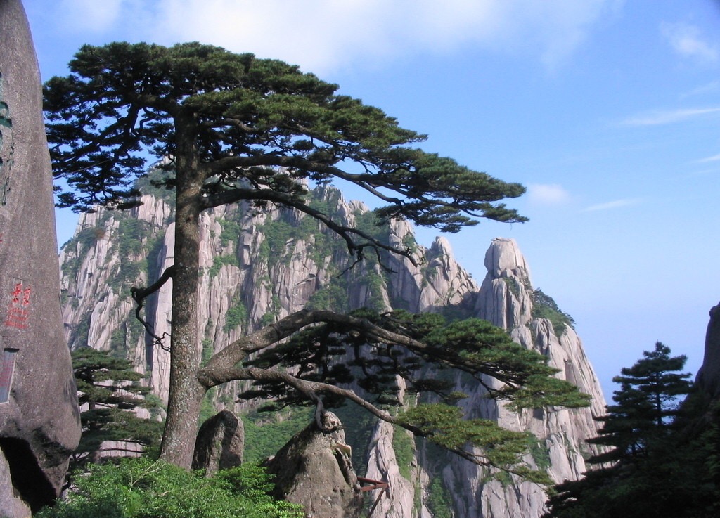 迎客松(原创歌词)