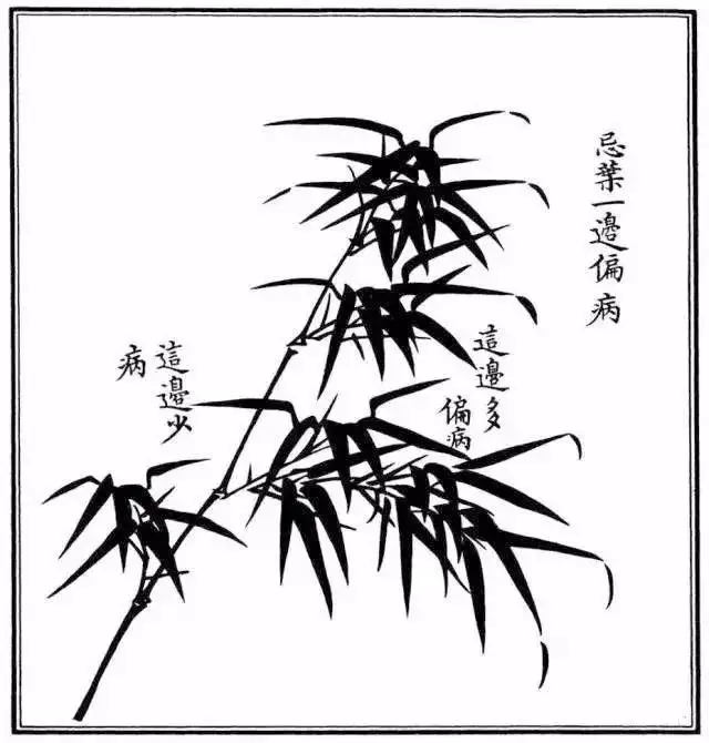 不会画竹子?教你最常见竹子画法,简单易学,快收藏起来临摹学习