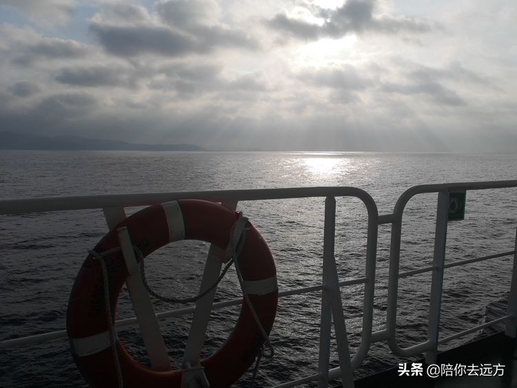 西沙~南海中的一片莲