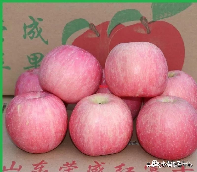 蘋果的產地,蘋果的產地主要在哪里